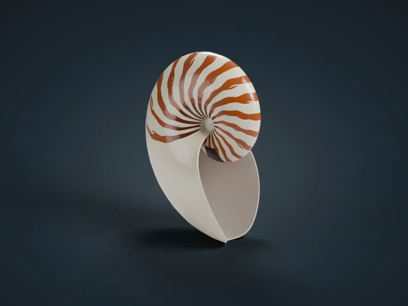 앵무조개 껍데기 3D 모형 렌더