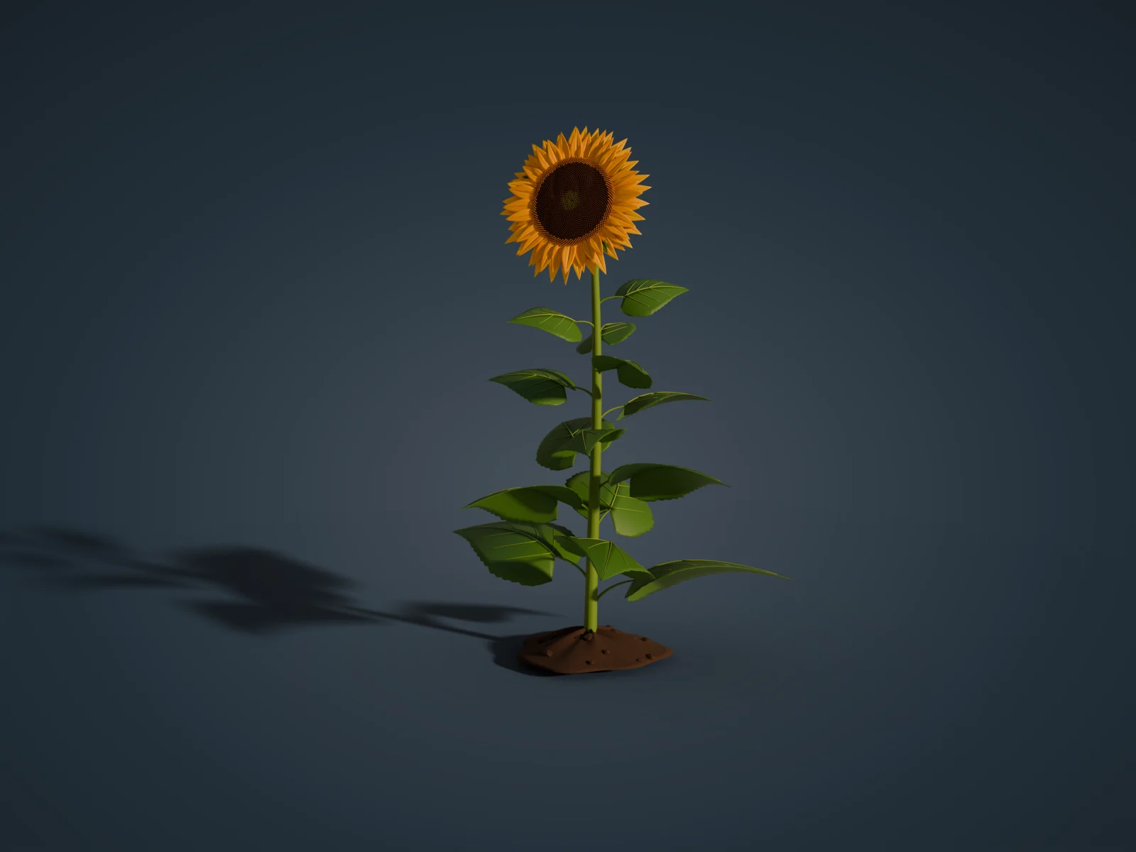 해바라기 3D 모형