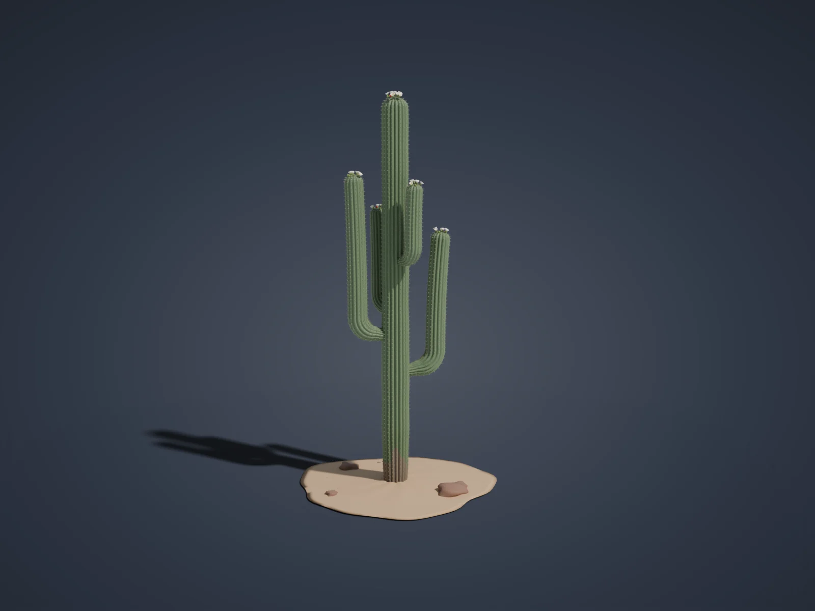 사와로 선인장 3D 모형