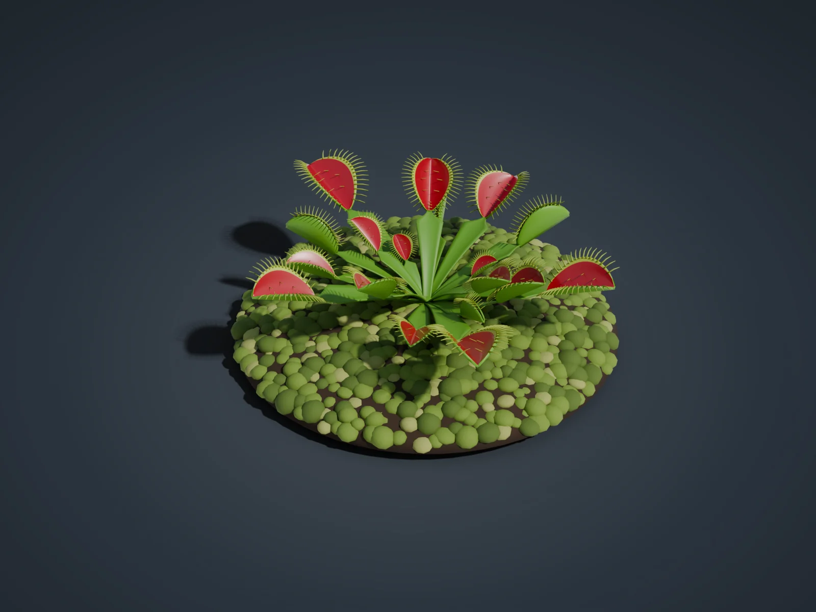 파리지옥 3D 모형